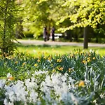Bed & Breakfast Frederiksberg Mansion 3*