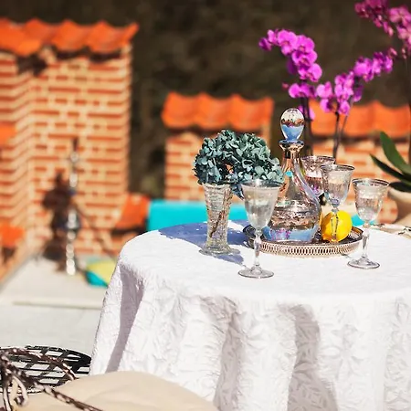 Frederiksberg Mansion 哥本哈根