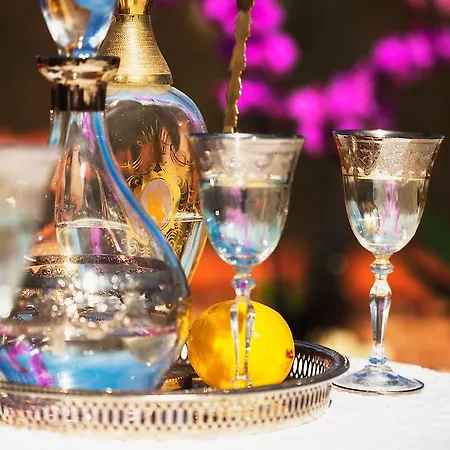 Bed & Breakfast Frederiksberg Mansion Copenhagen